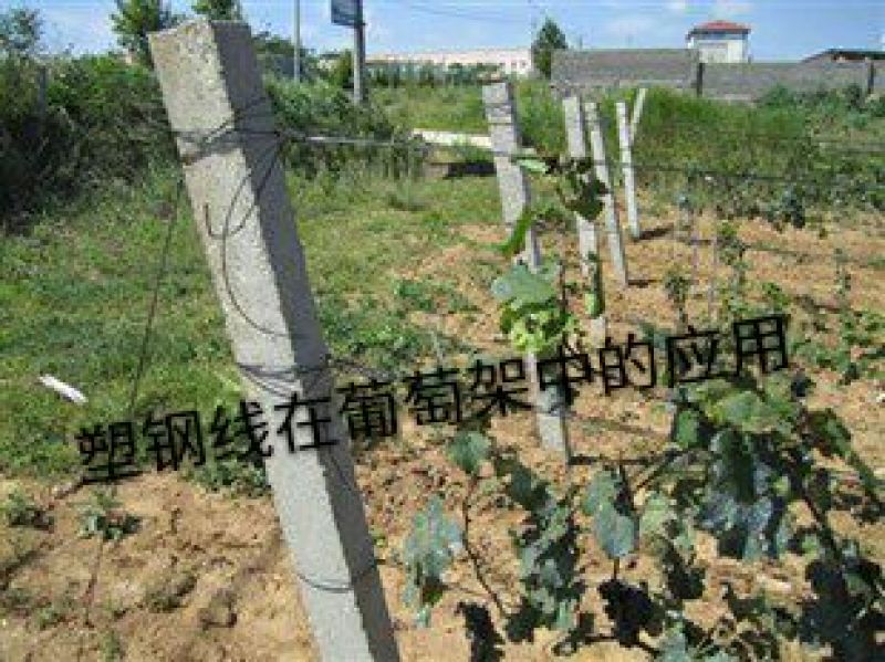 塑钢线