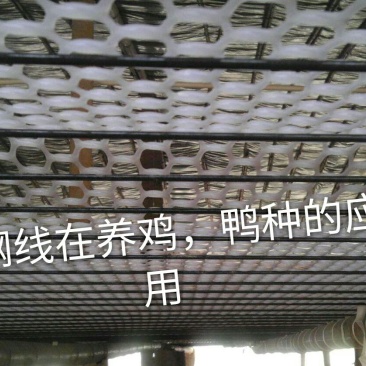 塑钢线