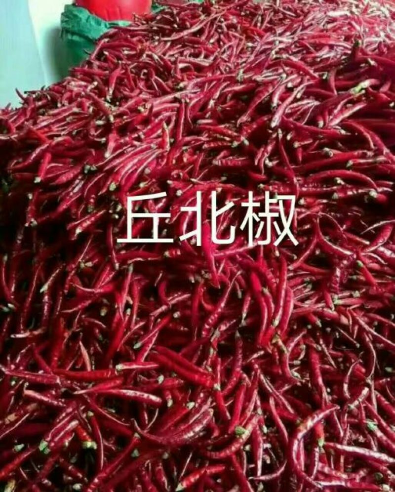 新一代干辣椒丘北辣9成干以上精品