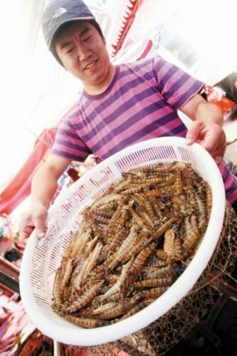 基围虾食用活虾