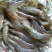 基围虾食用活虾