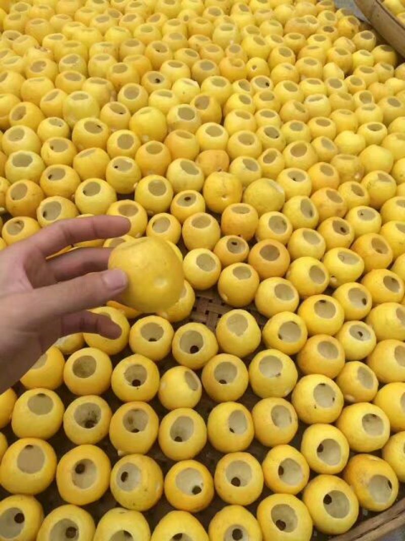 红茶●古树茶√爱上金柠檬
