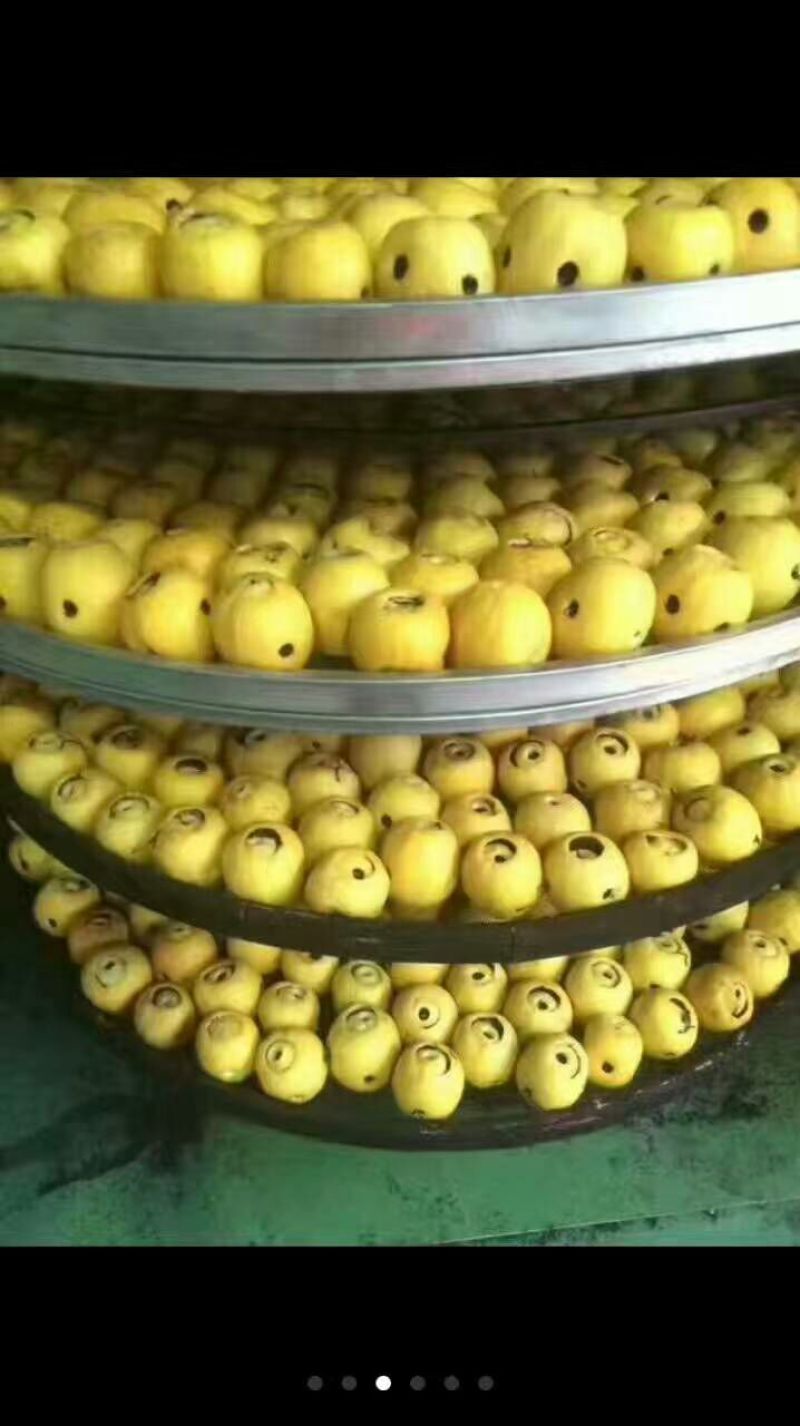 红茶●古树茶√爱上金柠檬