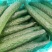 密刺黄瓜22~25公分干花带刺油亮型，子生不嫁接瓜