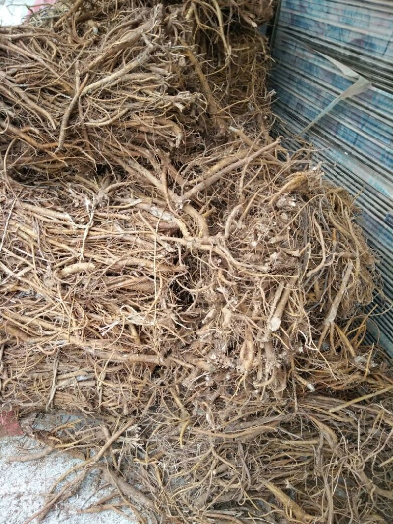 苦参统货