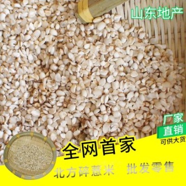 碎薏米散装