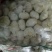 邳州大蒜6~6.5cm干蒜