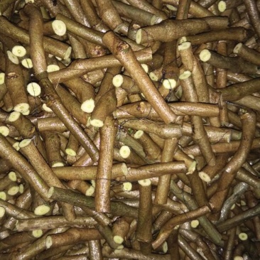 葛根苗发芽率保证，保证质量
