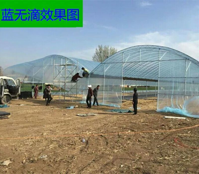 大棚膜进口无滴膜黑白膜