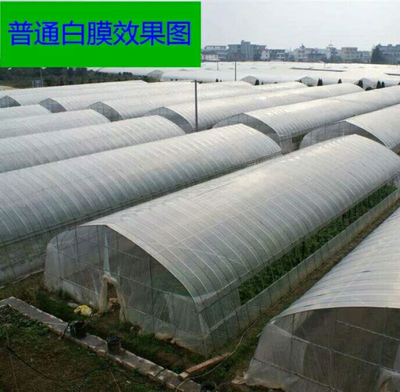 大棚膜进口无滴膜黑白膜