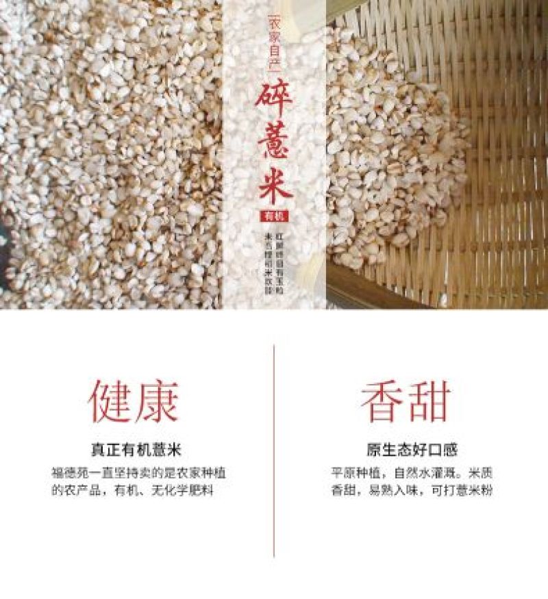 碎薏米散装