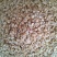 白薏米薏米白薏米