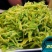 台湾野莲每天新鲜采摘/野菜特菜