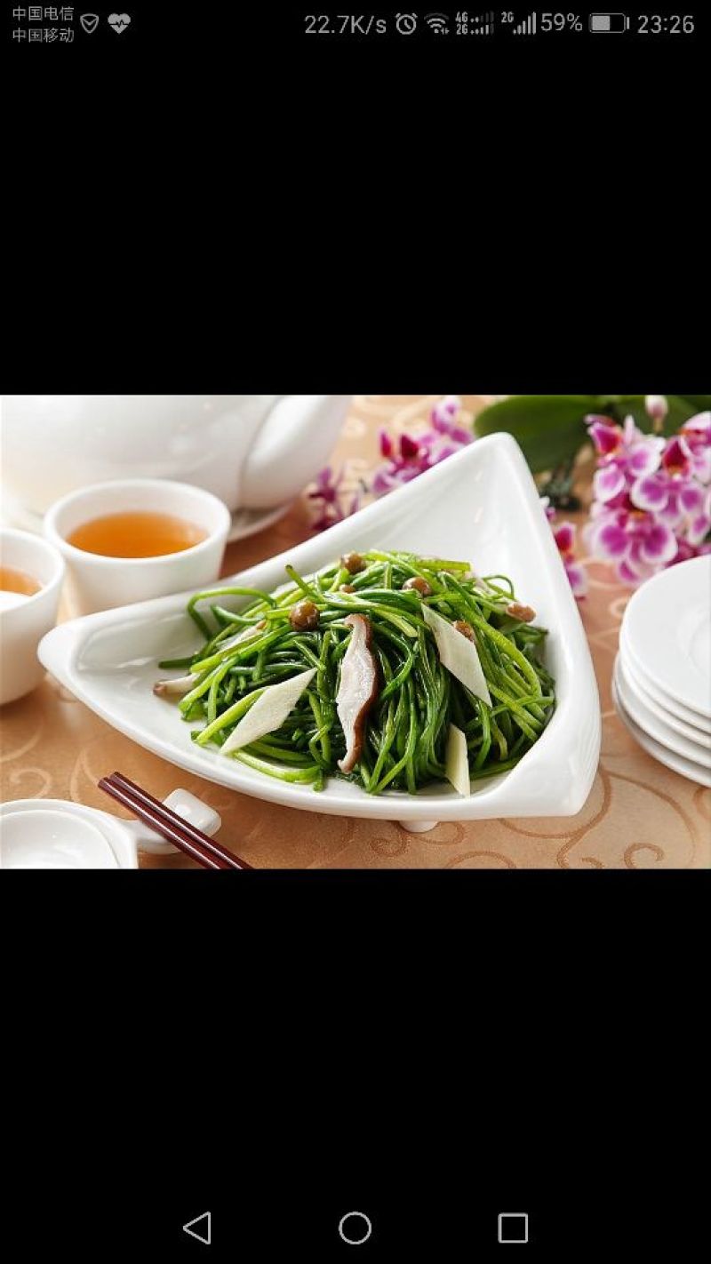 台湾野莲/野菜特菜