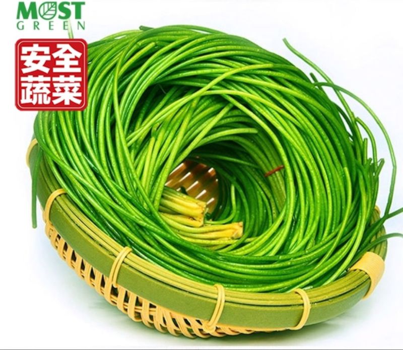 台湾野莲/野菜特菜