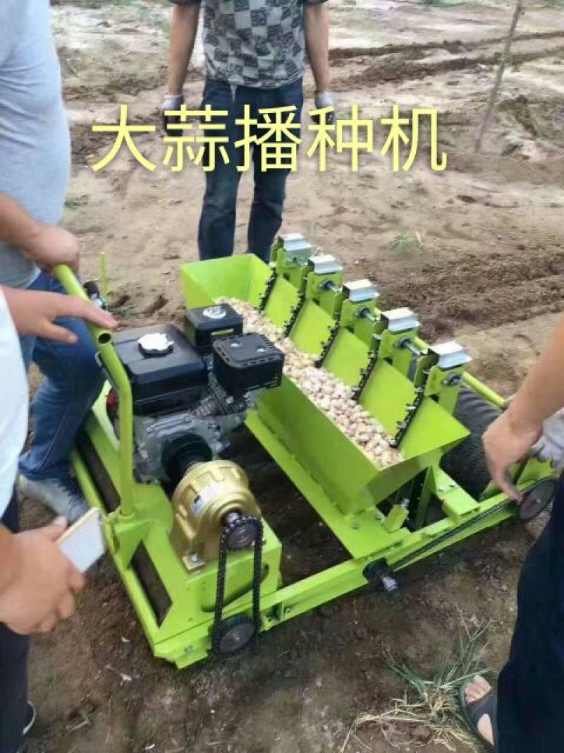 播种机大蒜播种机