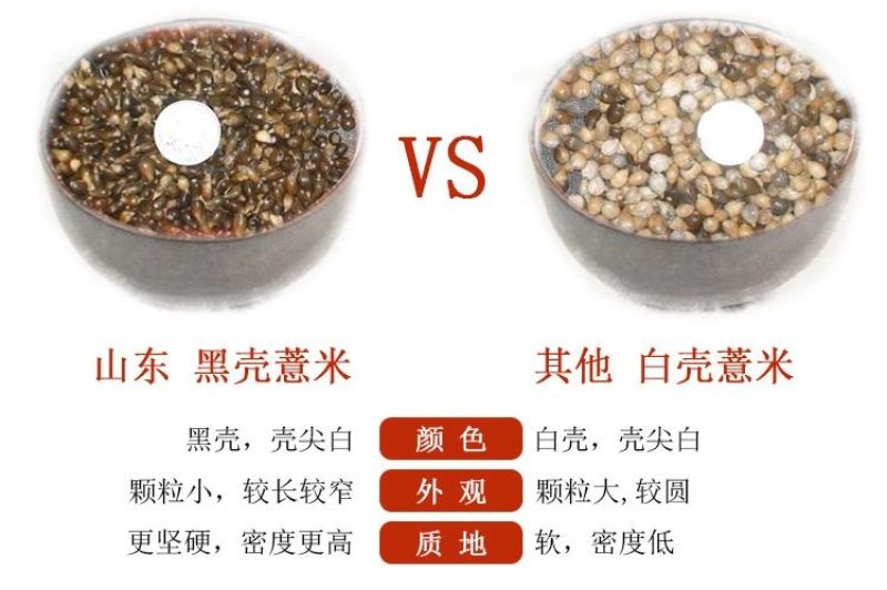 壳薏米散装