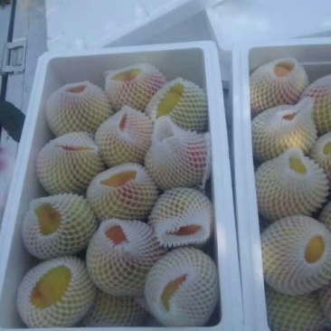 黄金冠黄桃4两以上