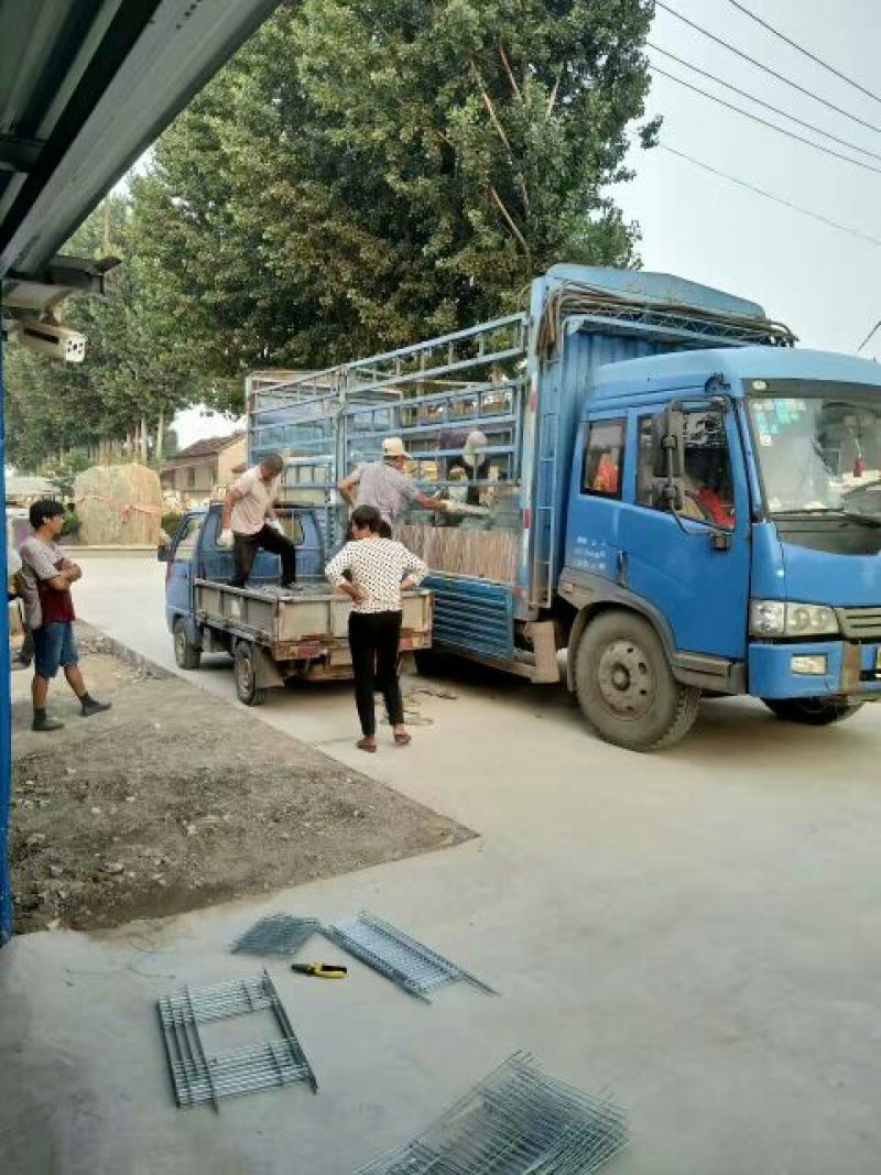 兔笼铁丝