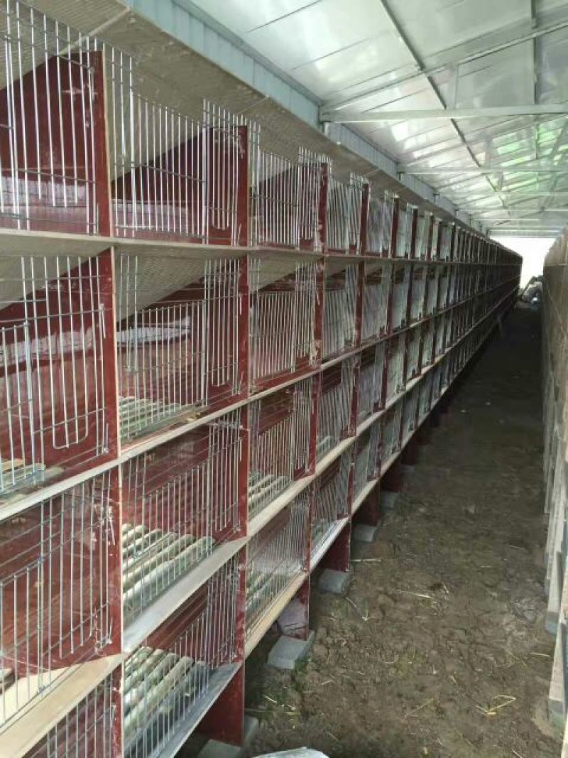 兔笼铁丝