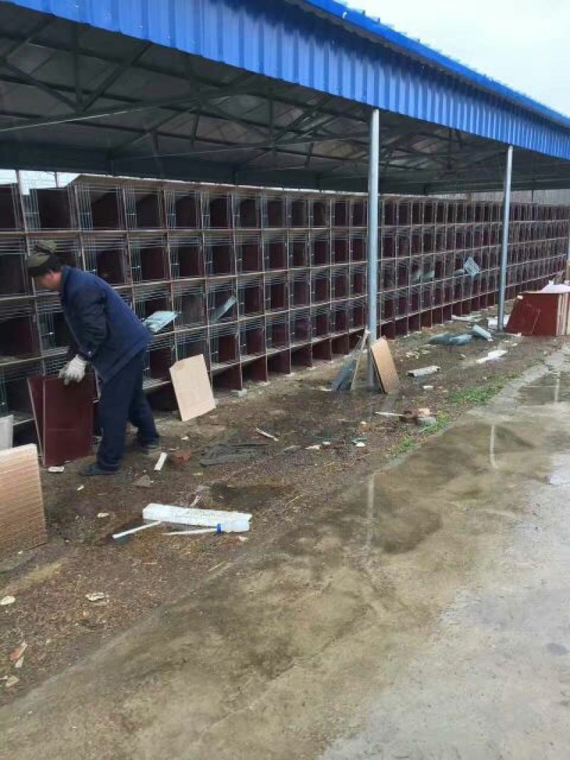 兔笼铁丝