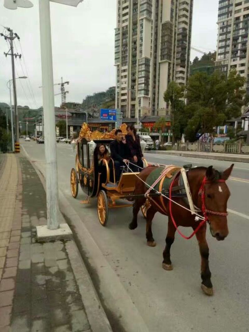 伊犁马400~500kg