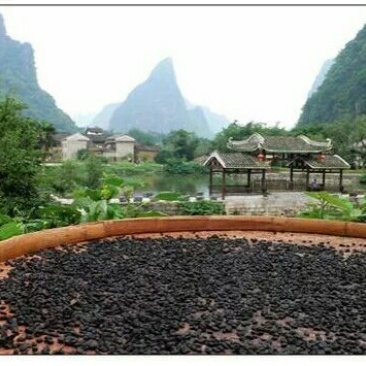 豆豉