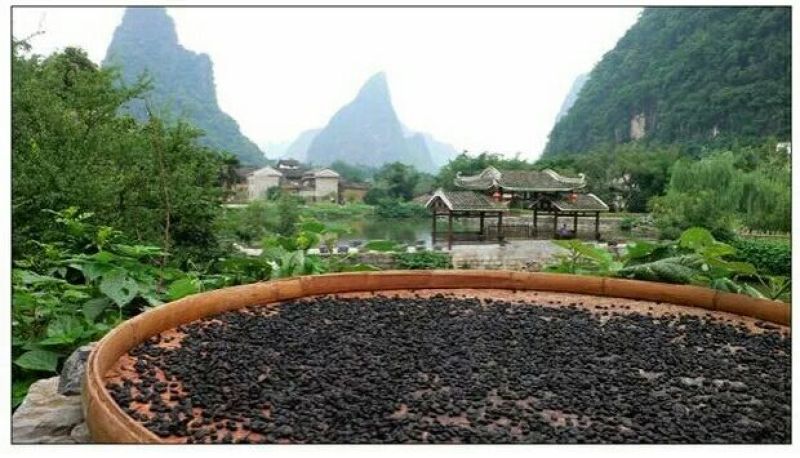 豆豉