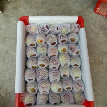 波姬红无花果60~70g