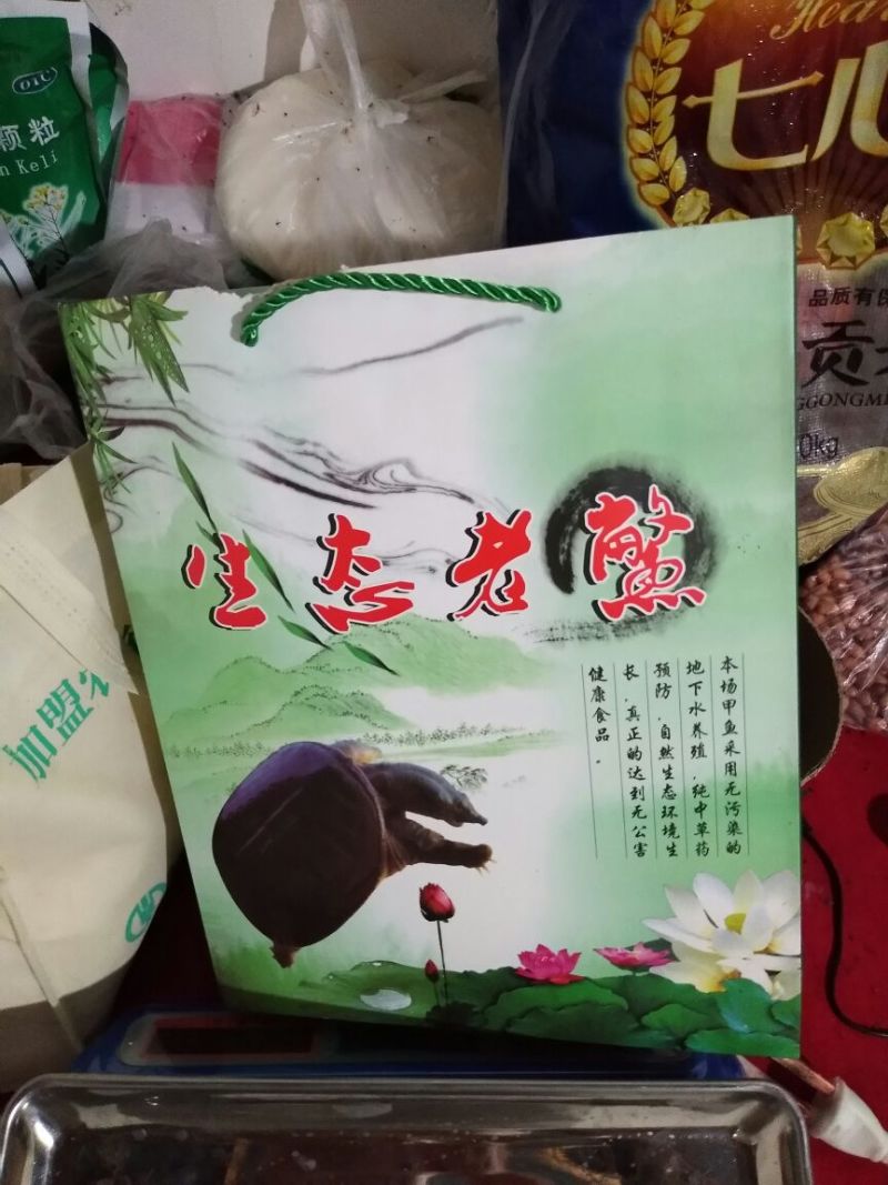 生态甲鱼2.5~3斤
