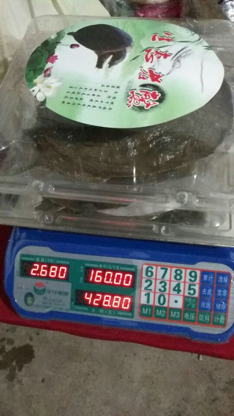 生态甲鱼2.5~3斤