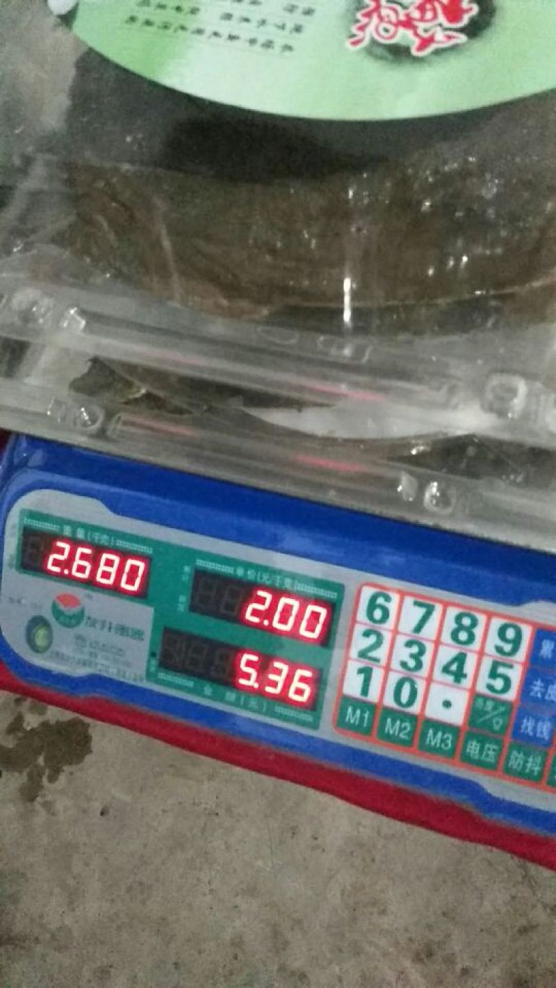 生态甲鱼2.5~3斤