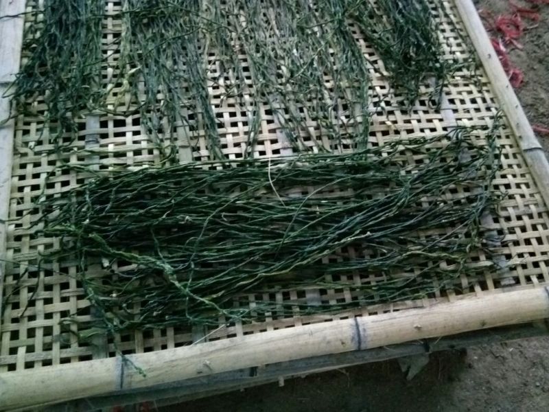 脱水长豆角
