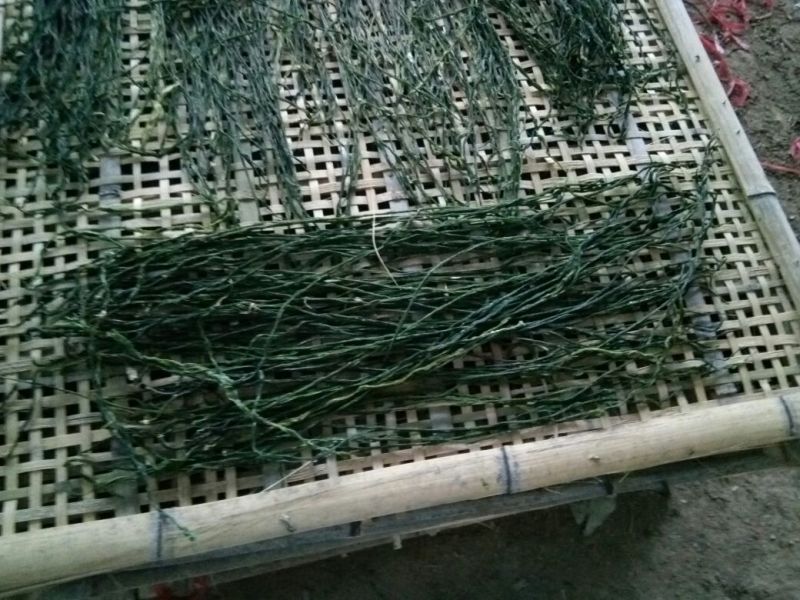 脱水长豆角