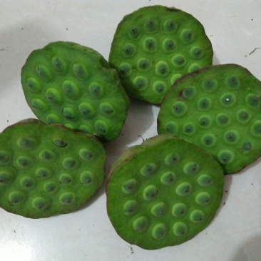 莲蓬新鲜莲蓬水果莲蓬大量供应电商一件代发