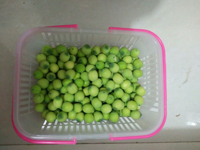 莲蓬新鲜莲蓬水果莲蓬大量供应电商一件代发