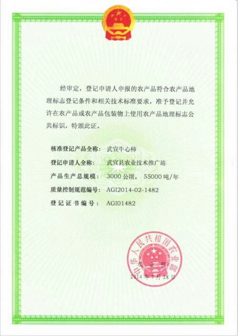 牛心柿2.两5以上。大量大量