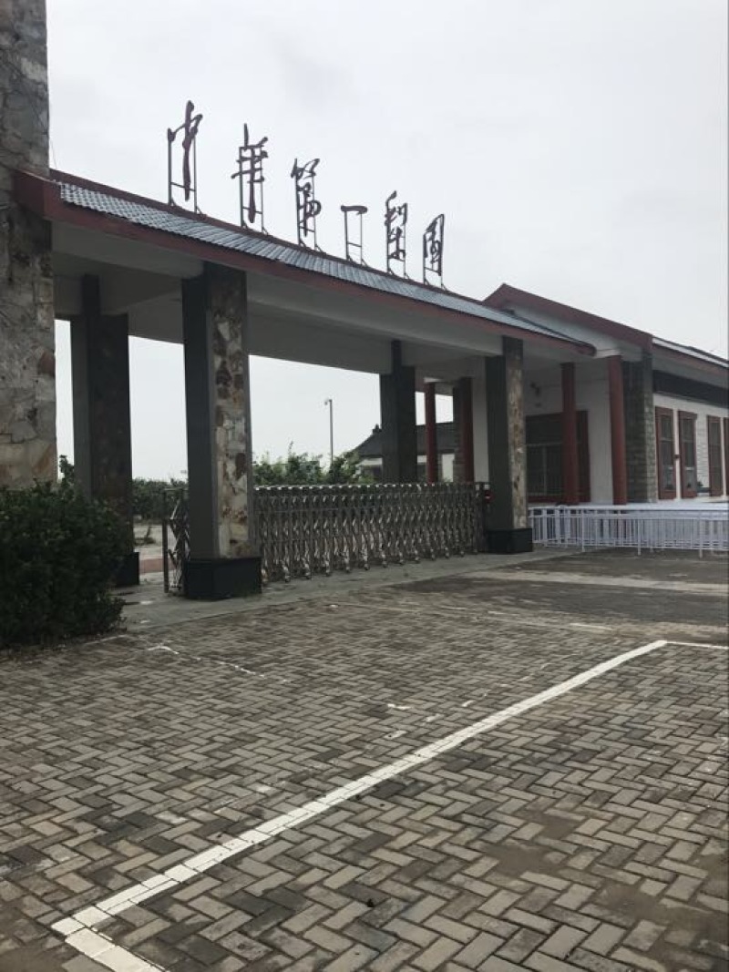 绿宝石梨