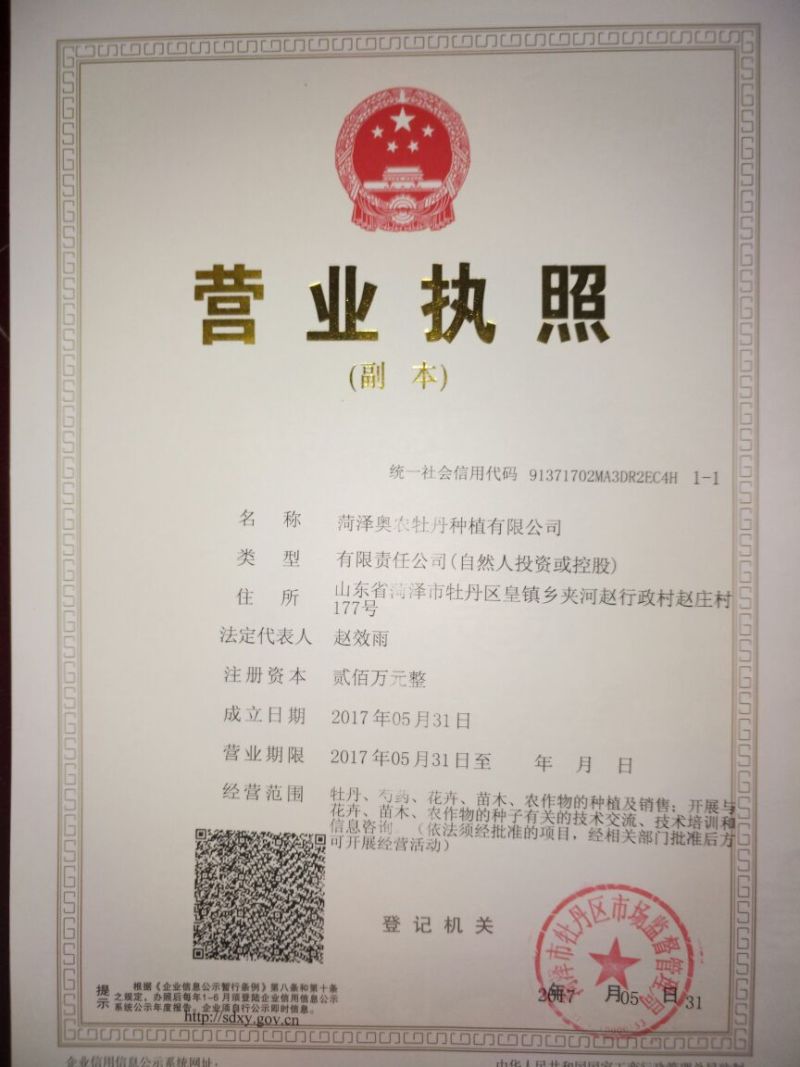 冠世墨玉0.5~1米