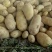 荷兰十五土豆通货2两以上