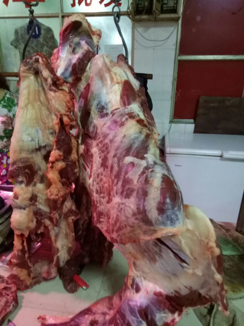 牛肉干黄牛肉冻库肉