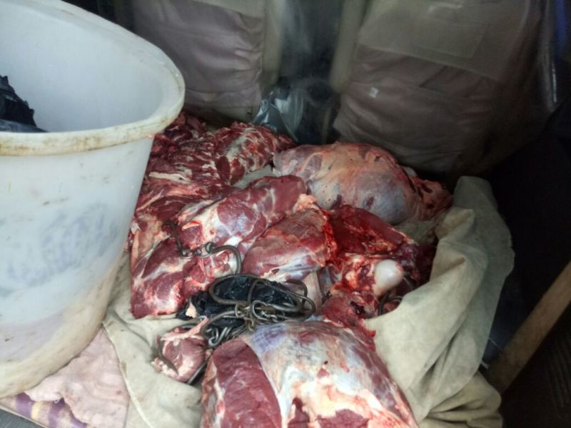 牛肉干黄牛肉冻库肉