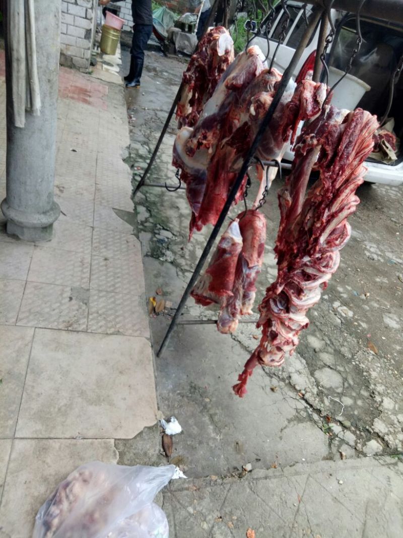 牛肉干黄牛肉冻库肉
