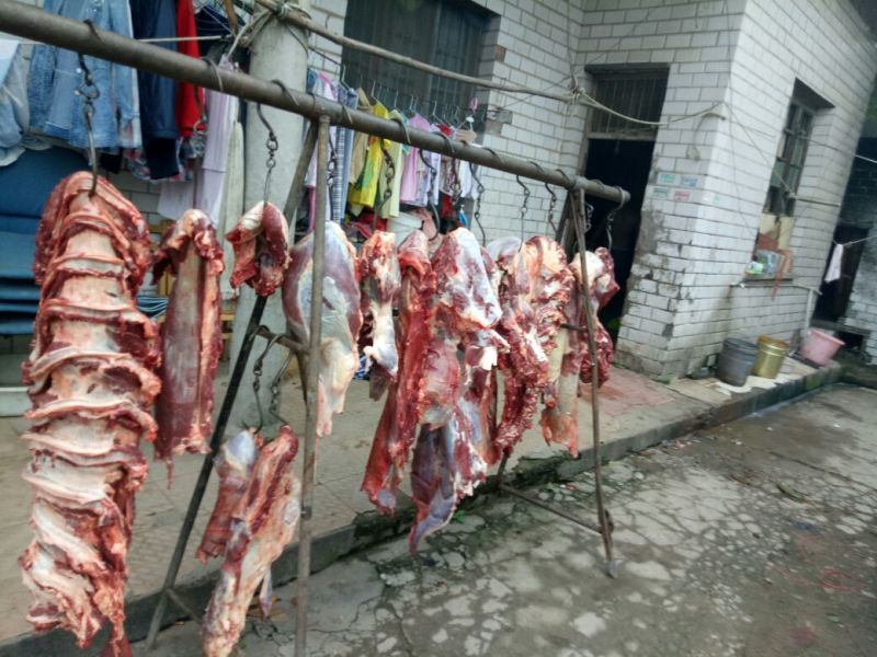牛肉干黄牛肉冻库肉