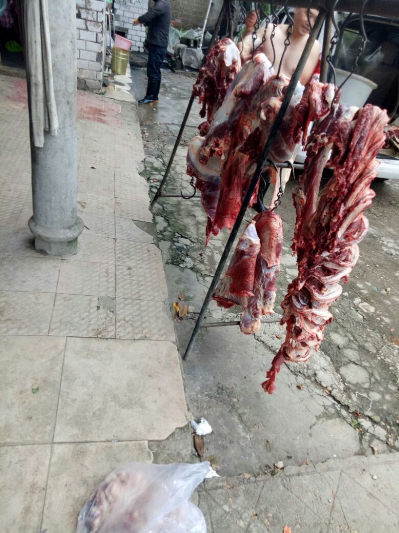 牛肉干黄牛肉冻库肉