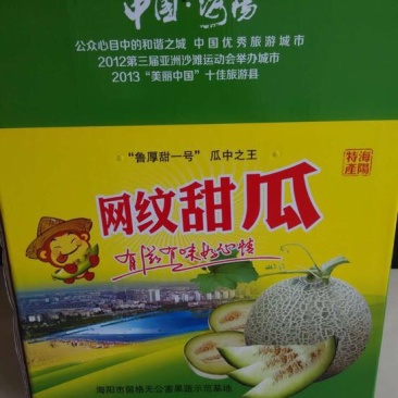 鲁厚甜1号甜瓜