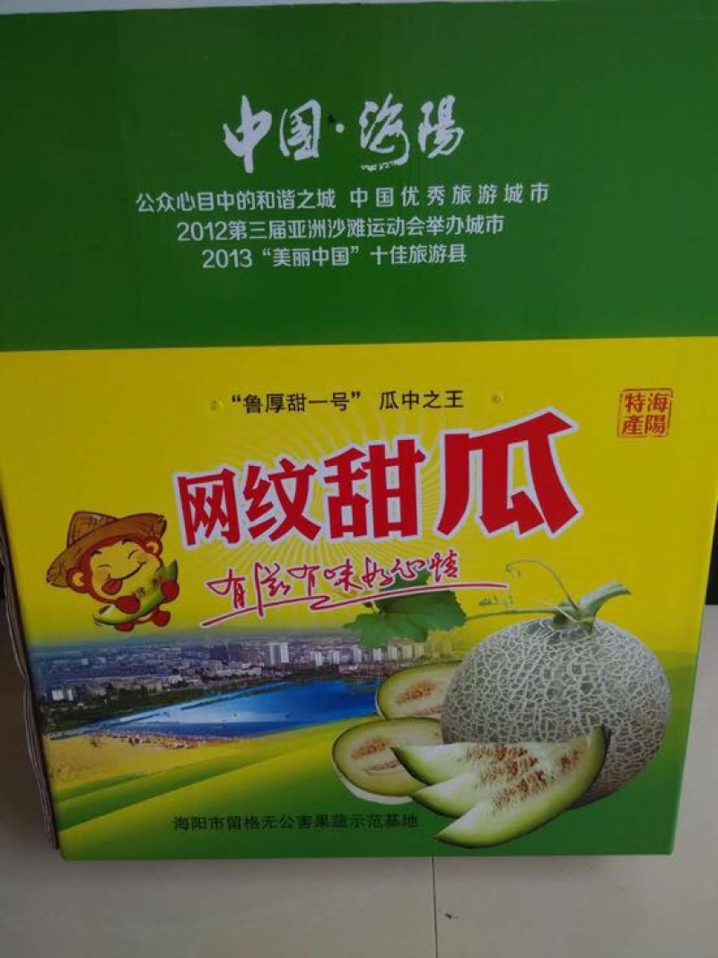 鲁厚甜1号甜瓜