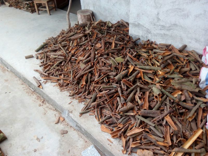 桂皮散装中通