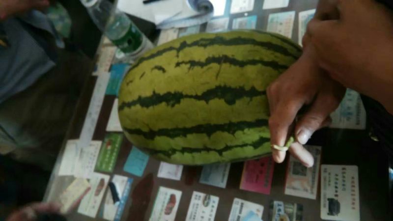 西瓜金花一号沙漠一号双红瓤口感甜度高皮薄