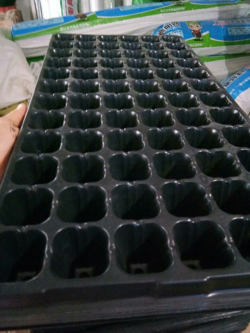 穴盘育苗盘穴盘营养钵塑料蔬菜瓜果苗加厚穴盘